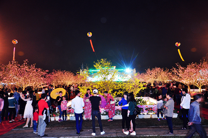 2017 Ha Long Cherry Blossom and Yen Tu Yellow Apricot Flower Festival to open in March