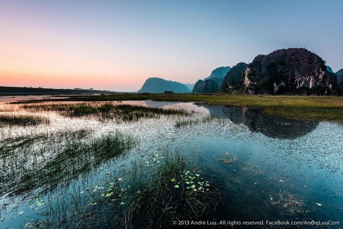 Kong, the unlikely tourism ambassador of Vietnam