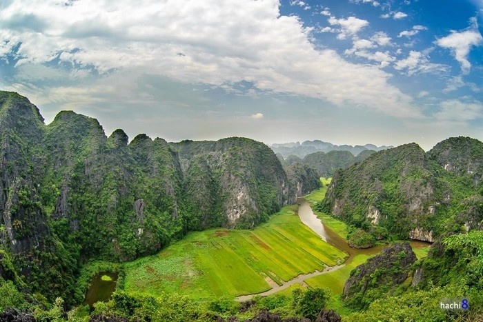 Kong, the unlikely tourism ambassador of Vietnam