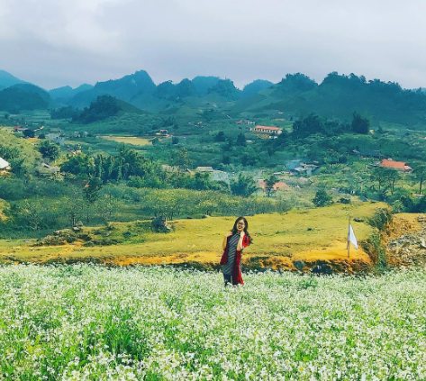 Discovering the scenic beauty of Moc Chau Plateau