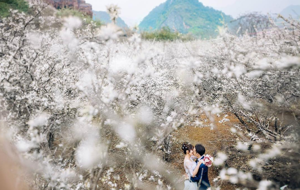 Discovering the scenic beauty of Moc Chau Plateau