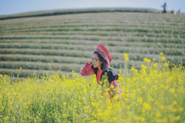 Discovering the scenic beauty of Moc Chau Plateau