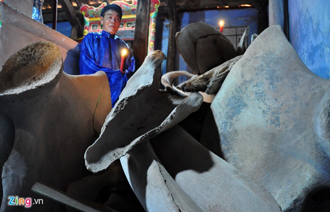 Ly Son Island plans to restore Vietnam’s biggest whale skeleton