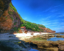 Ly Son Island plans to restore Vietnam’s biggest whale skeleton