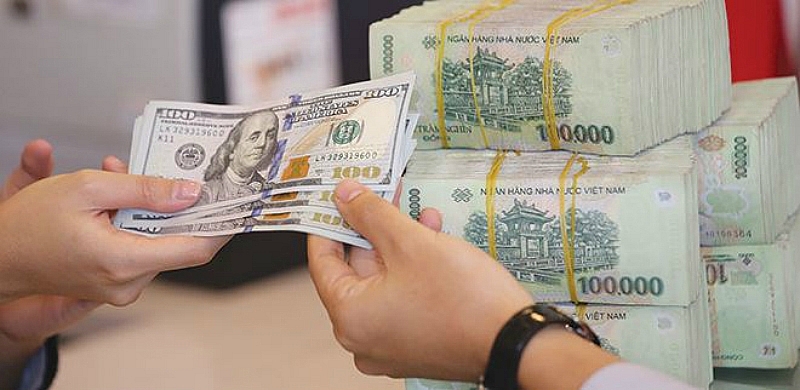 Overseas remittances heating up for Tet holiday