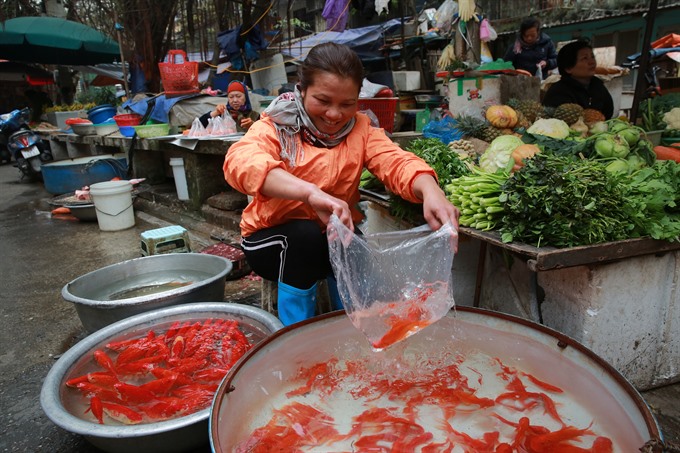 People celebrate Kitchen Gods’ Day, officially welcome Tết