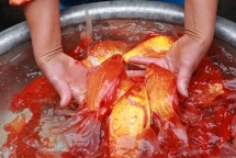 people celebrate kitchen gods day officially welcome tet