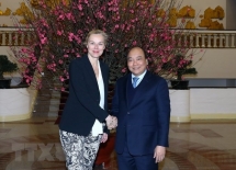 vietnam netherlands 45 year ties dynamic model of south east asia europe cooperation