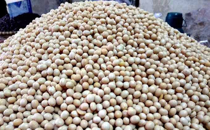 Soybean delight: Tofu tales of Mơ Village