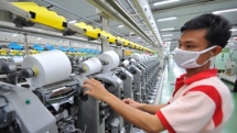 textile and garment exports are set for a boom this year