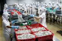 Foreign businesses confident in Viet Nam's outlook