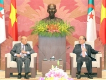 vietnam and algeria should boost cooperation and exchanges