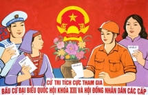 quang ninh elects seven na deputies