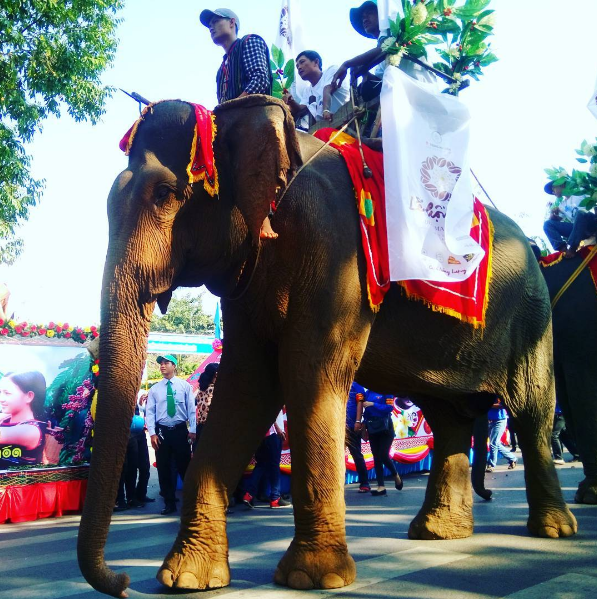 Buon Ma Thuot Coffee Festival successfully concludes