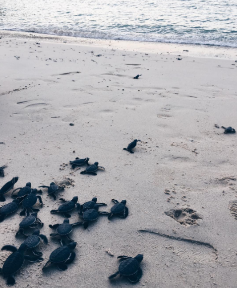 Con Dao among crowd-free Asia islands selected by CNN