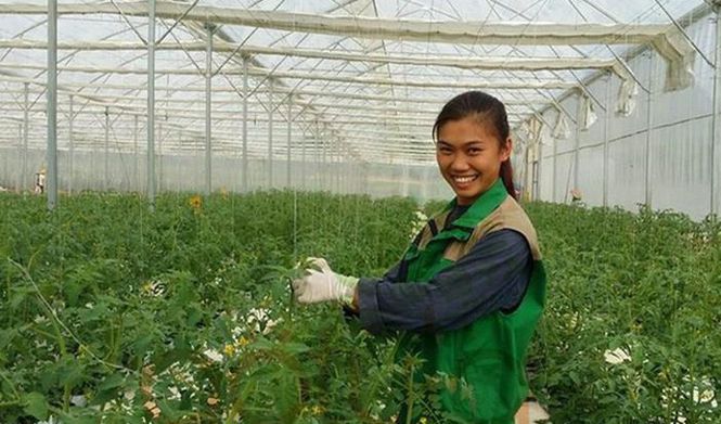 Vietnamese engineers aspire to make strides in farming technology