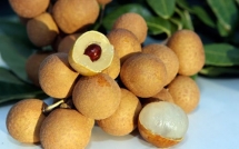 promising future for vietnamese longan in australian market