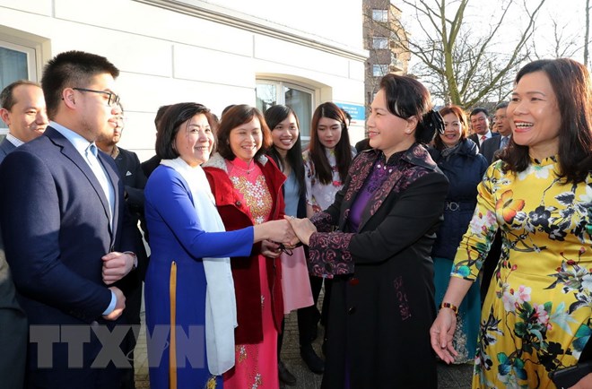 Vietnam, Netherlands mark 45 years of diplomatic relations