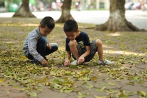 gorgeous hanoi in deciduous season