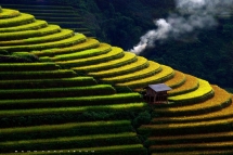 mu cang chai highlights vietnam beauty says cnbc