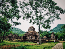 indian experts help vietnam restore my son sanctuary