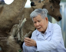 vietnam among top countries for high biodiversity worldwide