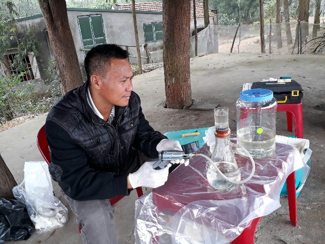New individual of world’s rarest turtle found in Hanoi