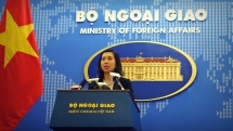 Vietnam welcomes efforts for peace and stability on Korean peninsula