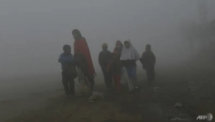 public health emergency bushfire haze choked sydney for weeks