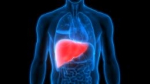 a single meal containing high saturated fat cancause your focus to dwindle study finds
