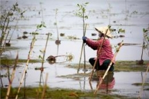 fondation chanel un women partner to accelerate rural womens economic empowerment