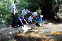 exploring u minh thuong national park