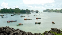 my dreamy adventure to viet hai village vietnam