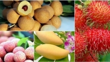 door opened for vietnams vegetable and fruit exports to uae