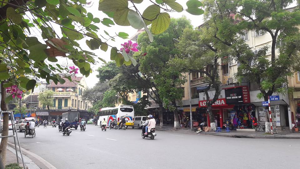 Cold spell sends chills across Hanoi, Sa Pa in early summer