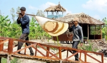 Honey sweetens the life of farmers in southernmost Vietnam