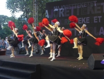 cultural event celebrates 45 years of belgium vietnam diplomatic relations