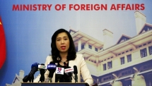 Vietnam concerned about escalating violence in Gaza Strip