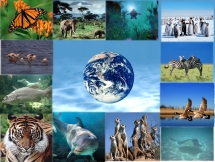 vietnam among top countries for high biodiversity worldwide
