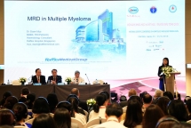 vietnam proposes 13 priorities for 26th aem retreat