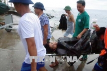 in photo liberation of truong sa archipelago