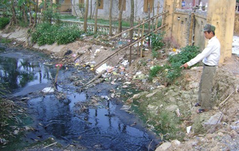 From waste to fertilizer, opportunities for Vietnamese agriculture