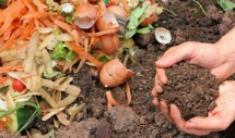 From waste to fertilizer, opportunities for Vietnamese agriculture