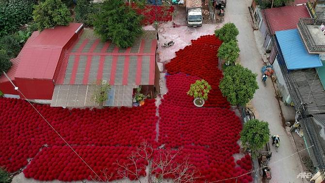 Vietnam's 'incense village' blazes pink ahead of lunar new year