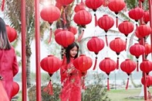 lotus flowers color the charming hue