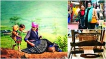 sapas rose valley recognised as largest one in vietnam