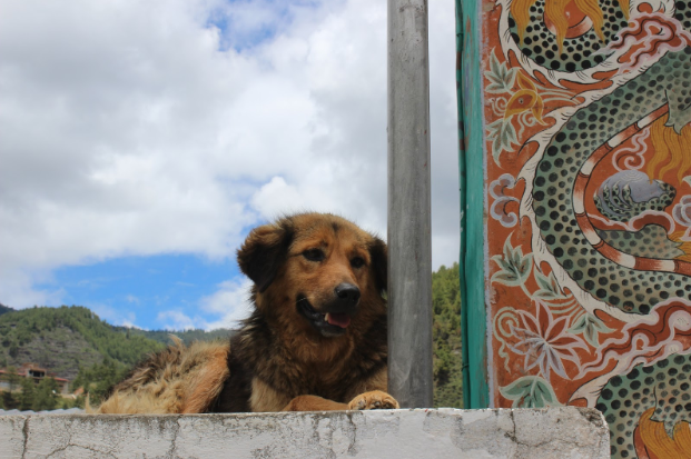 8 secrets of happiness learnt from Bhutan