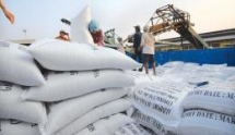 vietnam egypt eye usd 1 billion in bilateral trade turnover