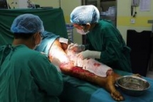 da nang doctors save life for british tourist with heart attack