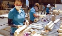 vietnam remains among main timber exporting countries